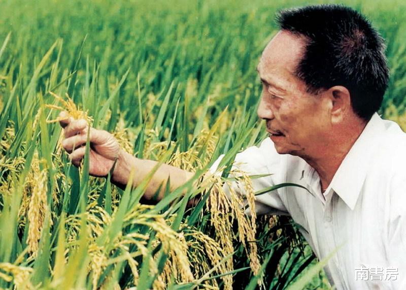 袁隆平生前的“特殊驾照”,跟普通人的相比,只不过多加了9个字