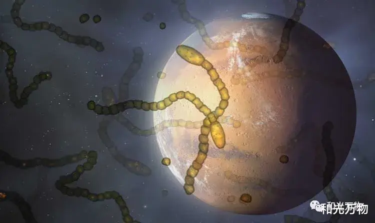 地球生命起源于火星?美国科学家:我们的共同祖先可能是火星人!