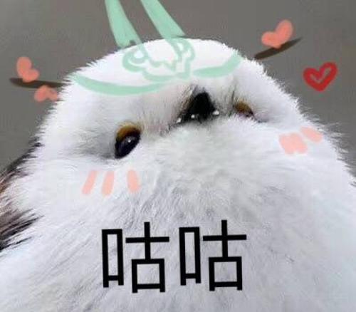 |剑网3最玛丽苏的buff，让众人围攻“咸鱼”，只求再开门派事件