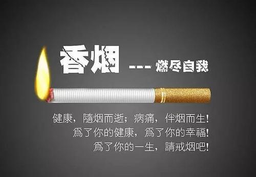专注现代人养生解说|肾有多强大，寿命就有多长，这样做活到百岁不是问题