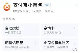支付宝|支付宝又上新功能，网友：海王必备！