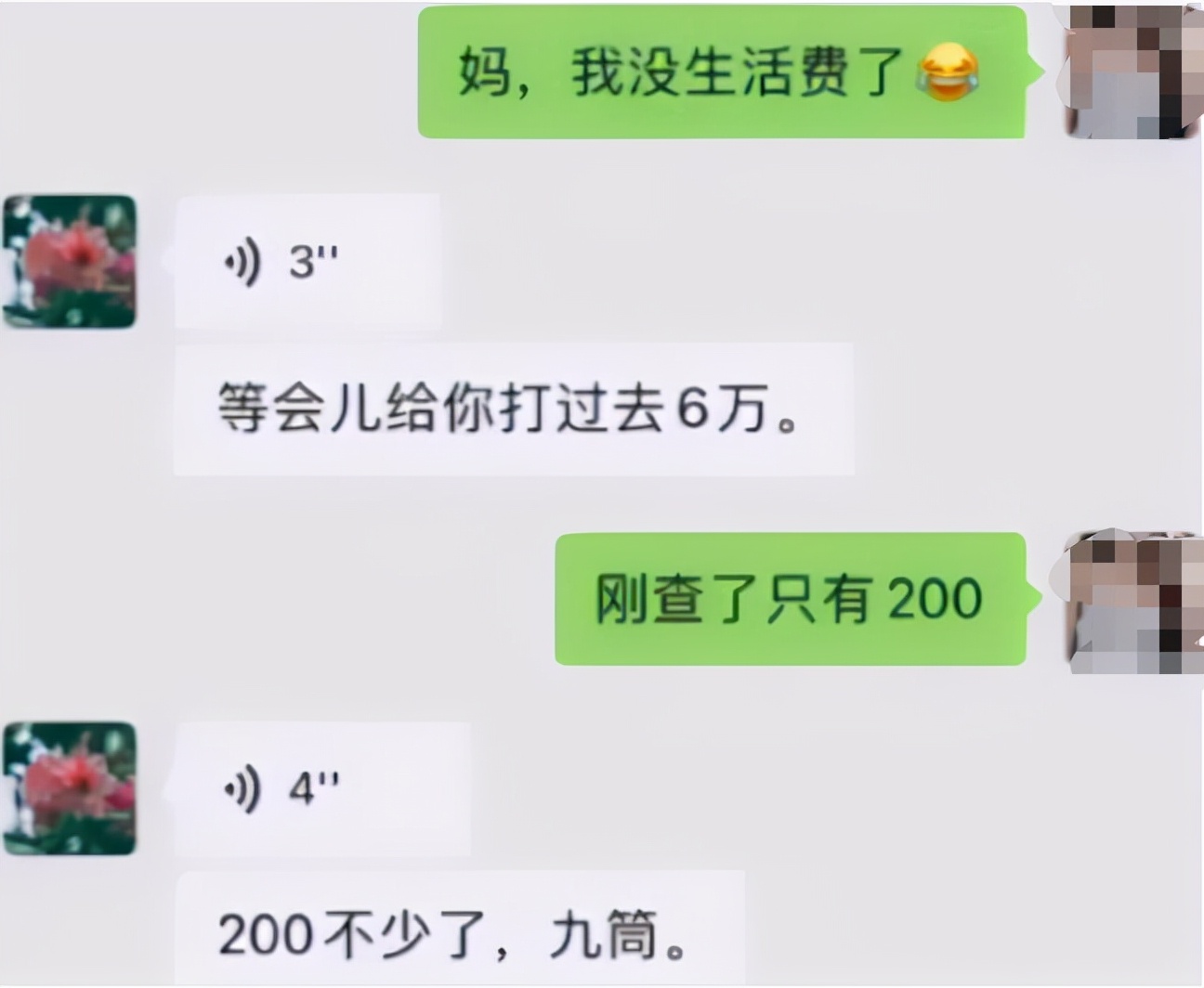 大树说教育|大学生花式讨要生活费：小螃蟹没“钳”了，最后父母的回复亮了