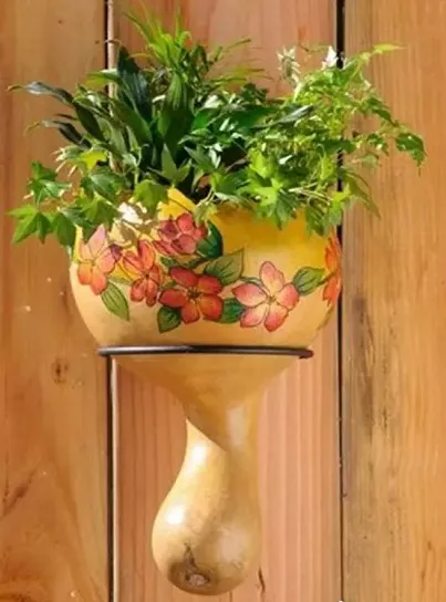 葫芦|又一个不要钱的文玩,玩出来给钱都不卖