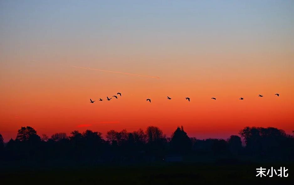 末小北|有一种人,无论怎样都过不好这一生,希望你不是