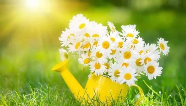 科学家 科学家进入550万年前的洞穴，发现“外星世界”，打破 了生命认知