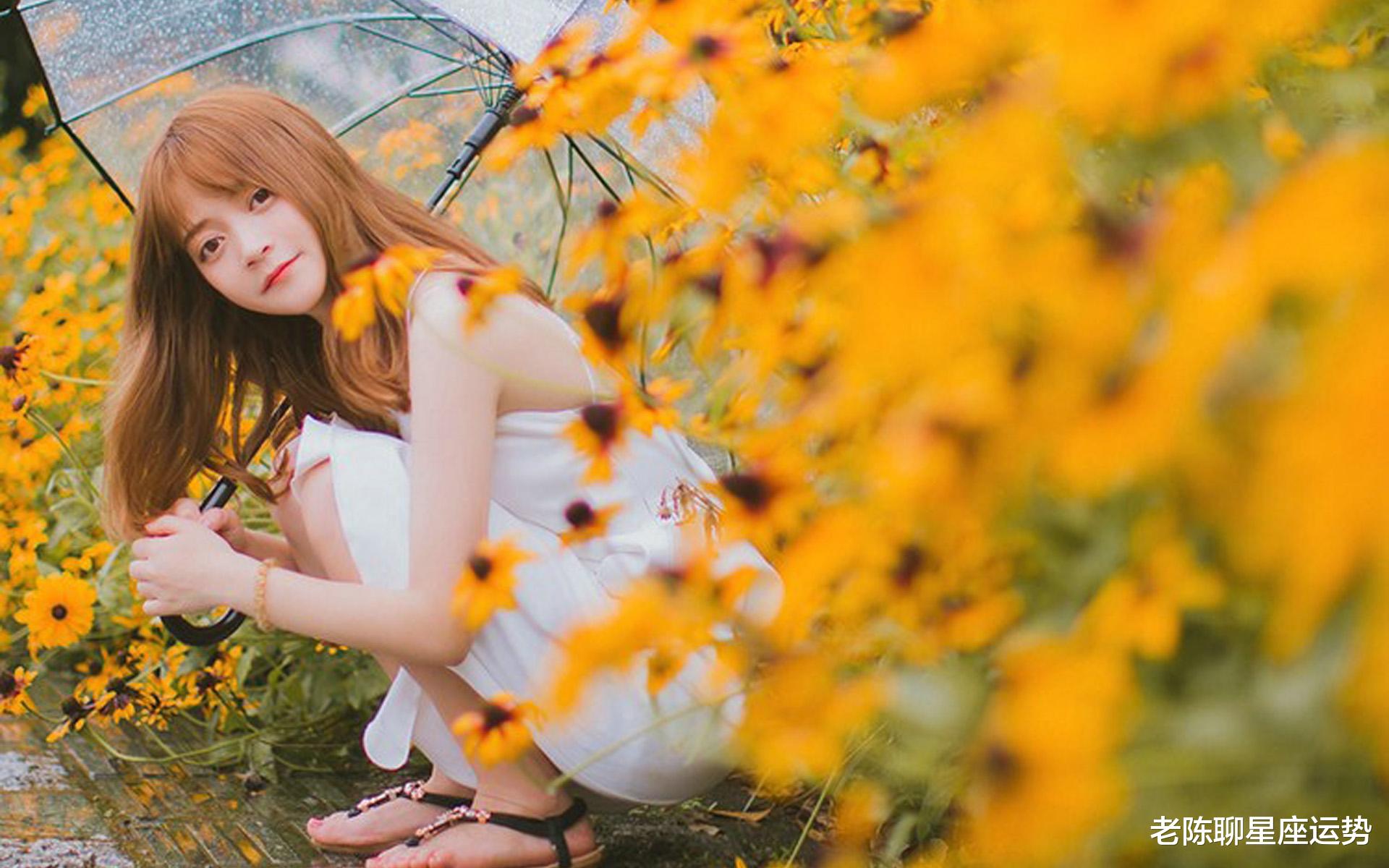 老陈聊星座运势|从8月7日开始,运势旺盛,会鸿运当头,无忧无虑的三大星座