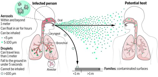 气溶胶 不仅是新冠！大多数呼吸道病毒都靠气溶胶传播