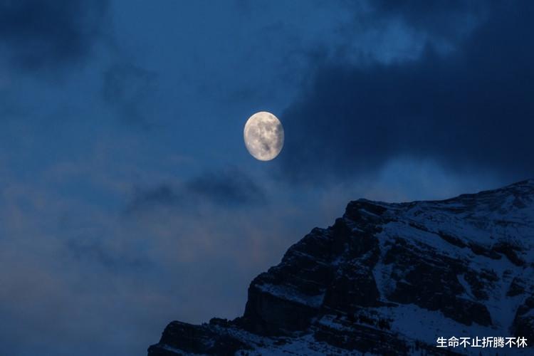 生命不止折腾不休|这算不算柿子挑软的捏?