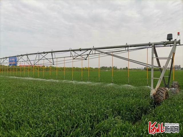 河北新闻网 截至3月底河北深层地下水位平均埋深同比回升1.45米