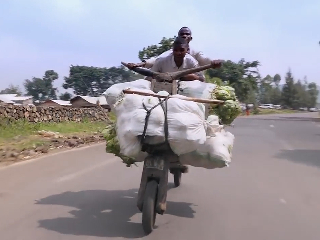 非洲人的“木牛流馬”，可以運輸400公斤貨物，在當地很流行-圖3