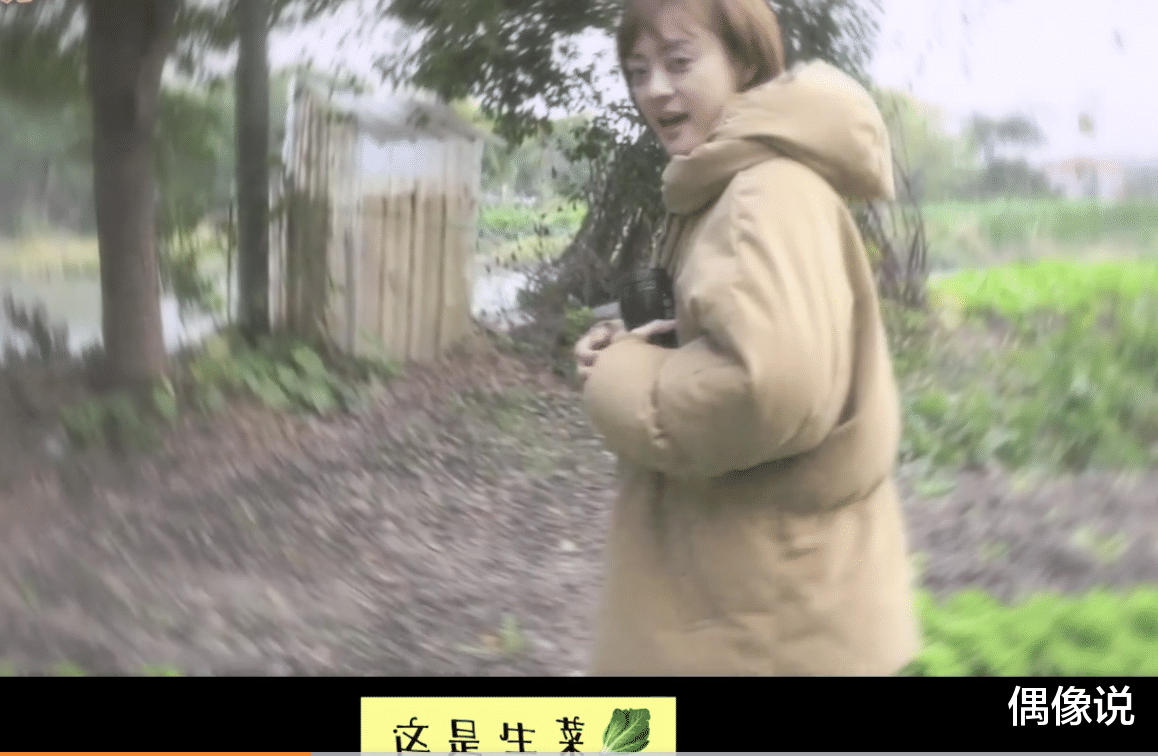 孙俪|孙俪农田拍戏三个人扶,不小心拔农户萝卜,站在菜园里慌张又愧疚