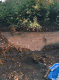  疫情发生期间，路边的乞丐都去哪了？神评让我终于明白了