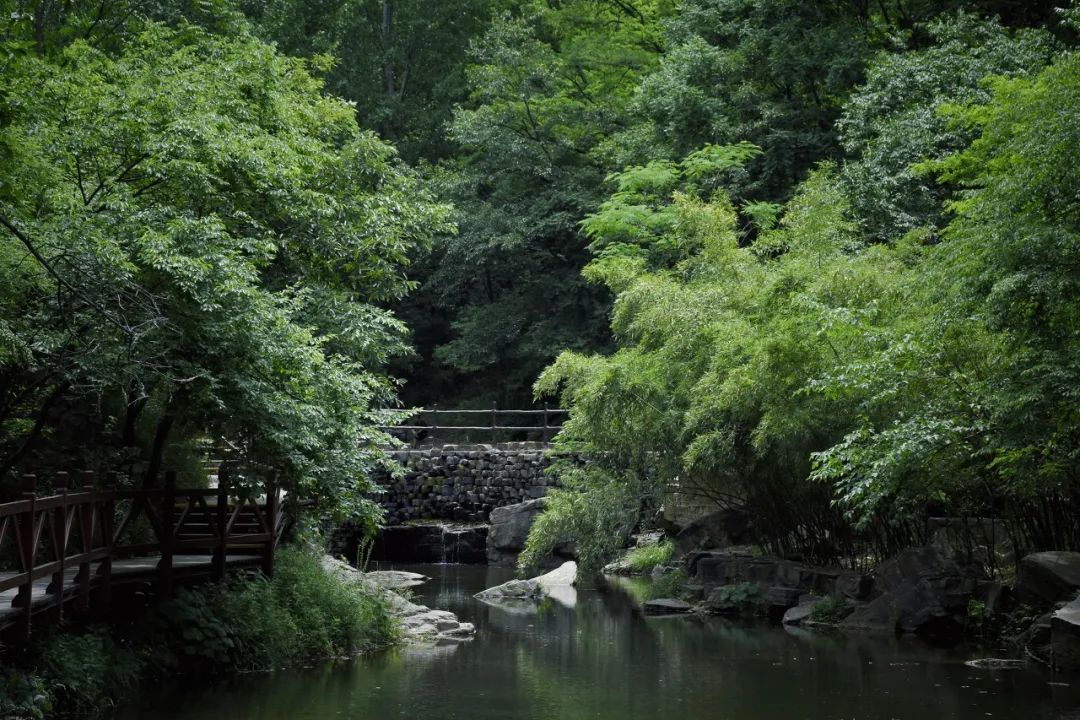 白马寺|黄轩、王一博新剧刚开播就爆了，它背后的这座老城也早该火了！