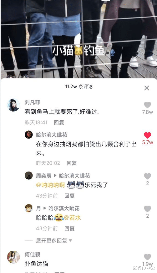 郑爽|岳云鹏微博送祝福却意外翻车了，考生：我求求你了，我一共就四门