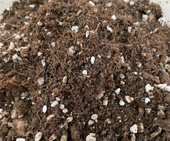 说说家装那点事儿|你买的营养土，可能是假的，椰糠当泥炭，养多肉容易烂根