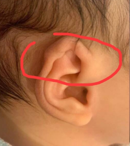 碗盆妈咪|带娃路上5款冷门“神器”！各个惊艳还实用，拒绝推烂的母婴用品