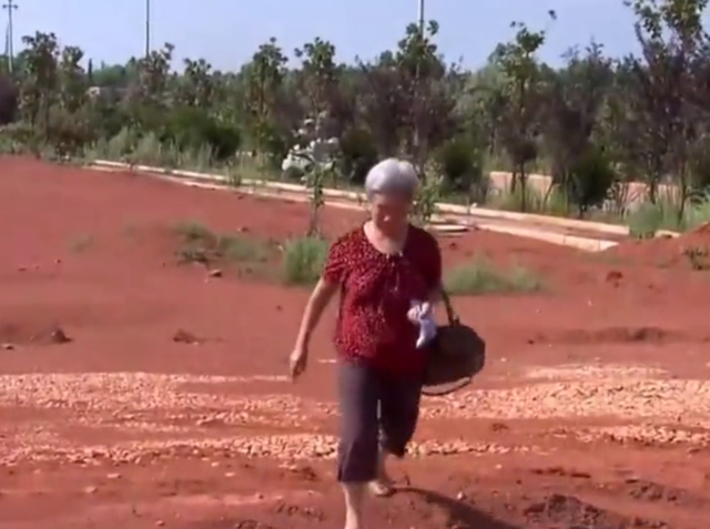 蓦然一牟 女儿突然去世,女婿立马娶新妻子,还舔着脸霸占前丈母娘的拆迁款