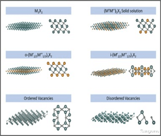 生物学 用于锂基电池的二维金属碳化物/氮化物（MXene）纳米复合材料的最新进展（二）