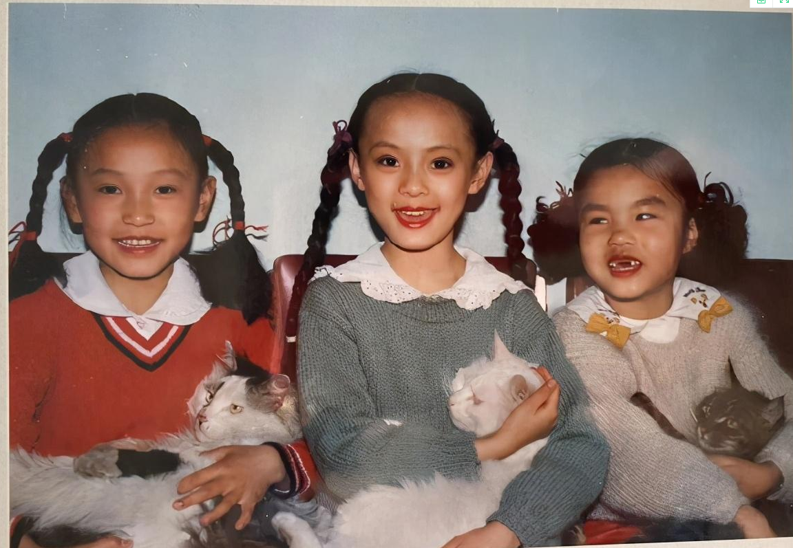 孙俪|不拍戏就不见踪影，拒绝参加综艺的孙俪，打了多少明星的脸？