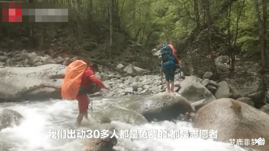 梦鹿非梦露|为一己私欲谎称患癌骗捐：世道变坏，就是从善良被消费开始的