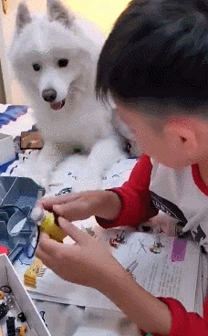 乔杉|“乔杉洗脚城被抓了，会像海波一样退出演艺圈吗？”哈哈哈...原来如此~