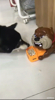 |儿子认为不结婚不买房是件好事，我该怎么办？网友：你搁这钓鱼呢