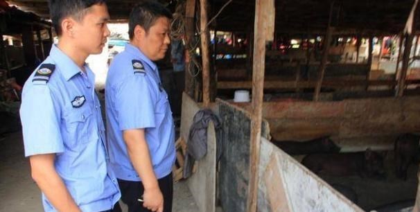 若珍|环保禁养开始执行,谁养就拆谁罚谁?这3类养殖户被“点名”