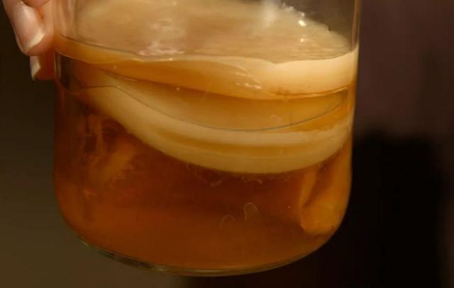 小允儿的妈妈|红茶菌种怎么制做？