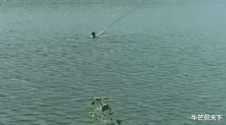 水库|中年男人钓起鱼来，到底有多拼命？