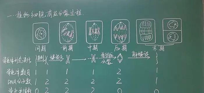 一个爱穿搭的小马甲|教师节 | 老师晒出“高颜值”粉笔字，我彻底被迷倒了