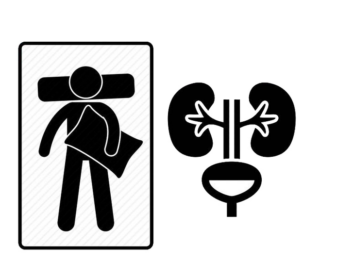 睡眠|肾脏好不好,让睡眠告诉你!睡觉出现这些情况,说明肾脏很健康!