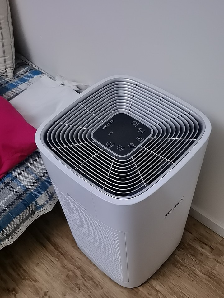 刚子宝爹经验说|家有孕妇 新房去味除甲醛方法攻略大全