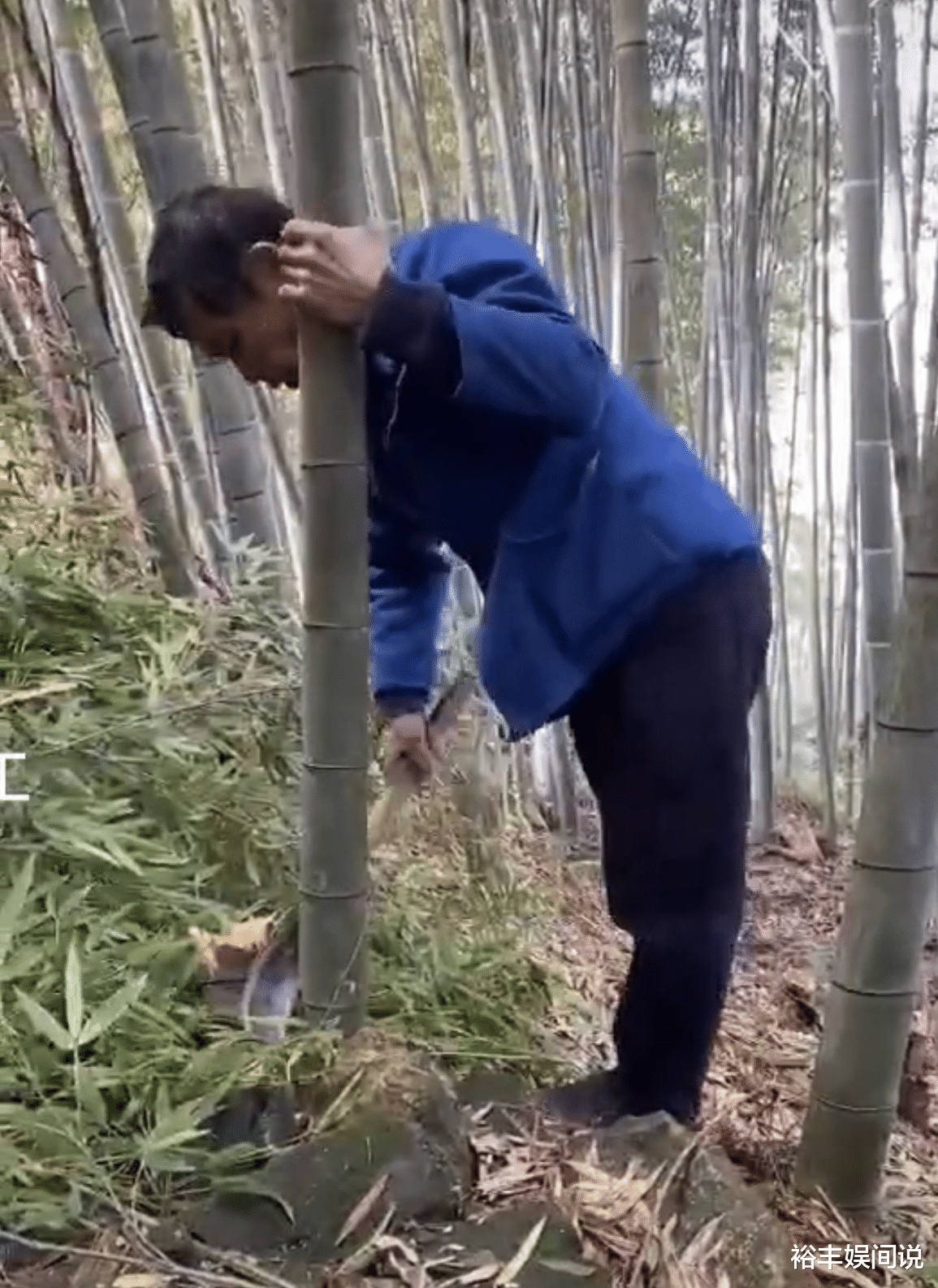 范小勤|“小马云”范小勤越来越懂事，携哥哥外出抓螃蟹，有鱼有肉吃得香