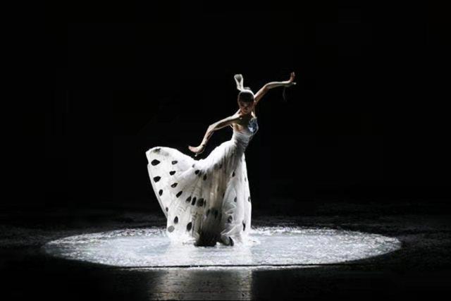 無名可取 杨丽萍一生风光无限,62岁的她却一直戴着帽子,这隐情有点大