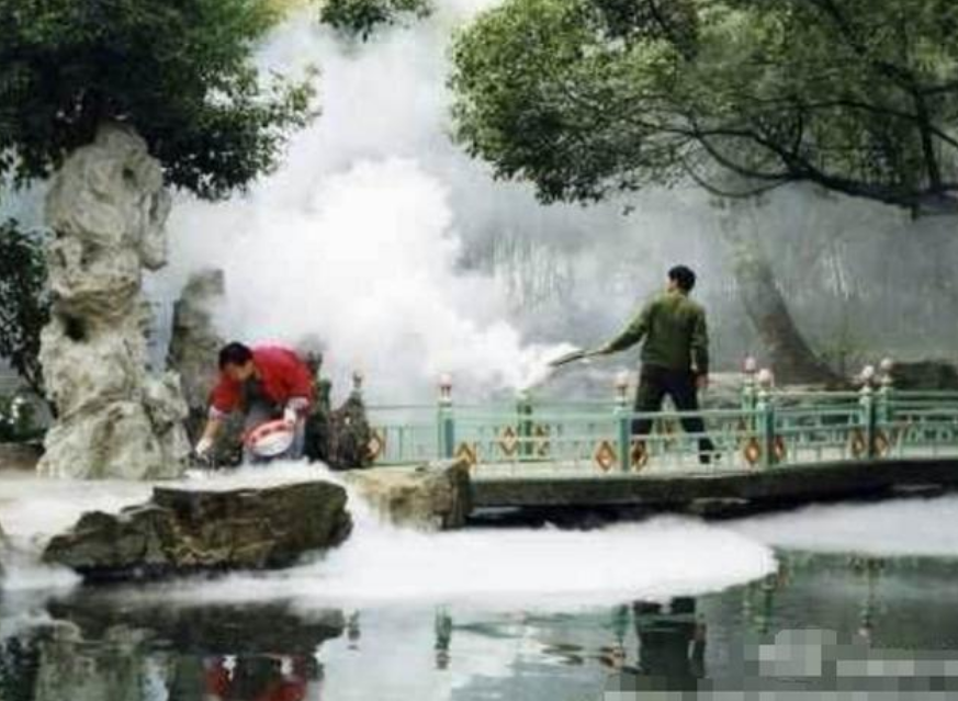 豪门|西游记最贵女演员，花高价租飞机请来，出镜几分钟让人记几十年