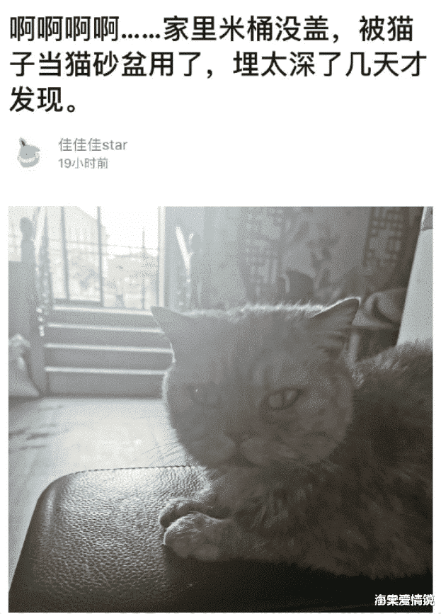 海棠湾情说|“妹子，还以为你穿的裙子有问题呢？走近才知道是我看错了！”哈哈哈哈哈哈