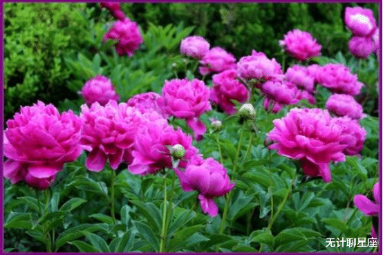 射手座|下半年，4个星座，姻缘来临，异性缘飙升，有望脱单