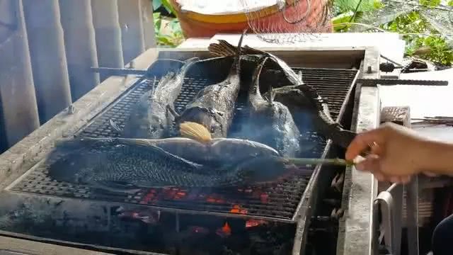 印度 成功入侵我国的“垃圾鱼”在印度成美味,鲶鱼泛滥阿三为啥不吃?