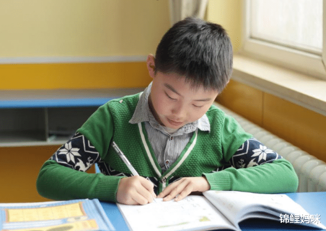 锦鲤妈咪|孩子平时行为拖沓，只是因为“不想做”吗？家长需从正确方向引导