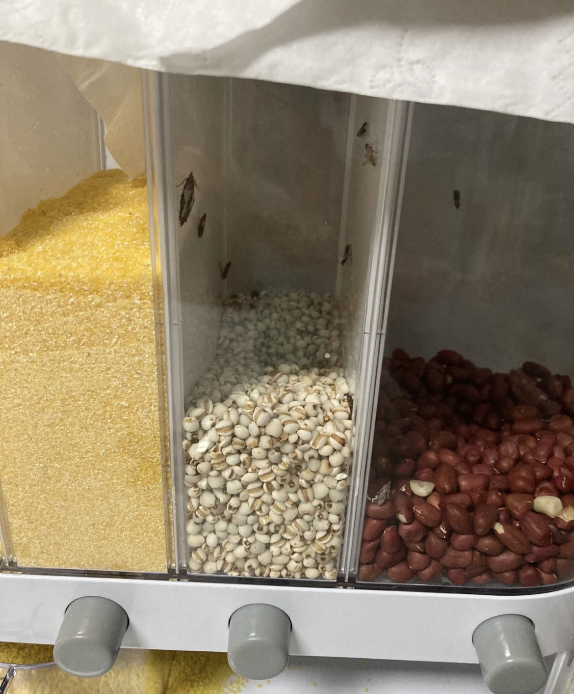 “内卷”下爆火的家居小物，有的持续销量可观，有的却是昙花一现