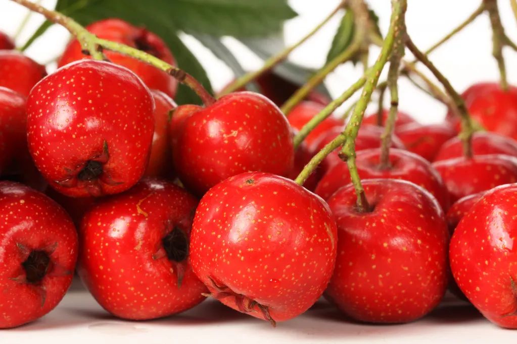 胃酸|伤胃不浅的5种食物，小米粥、白粥竟在其中！9成国人已中招，难怪越养胃越伤