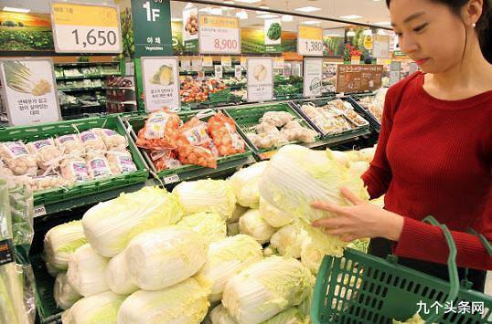 九個頭條網 繼白菜大蔥之后韓國雞蛋價格暴漲，追加進口1500萬枚雞蛋穩定市場