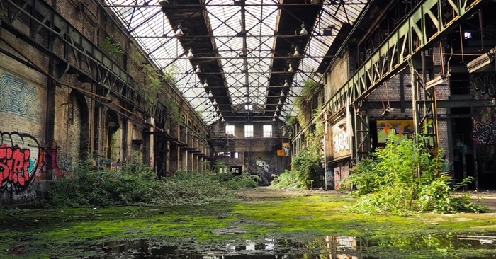 薪水|从人潮中渐渐脱颖而出，做那条逆流而上的鱼。