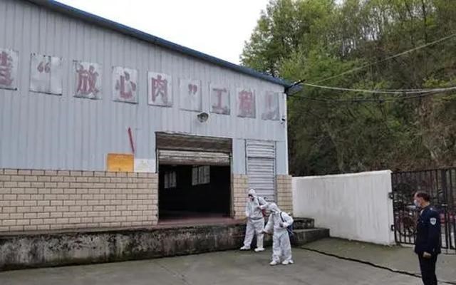 月落等风來|猪价持续探底,生猪价格频频击破底线,两大节日能否力挽狂澜?