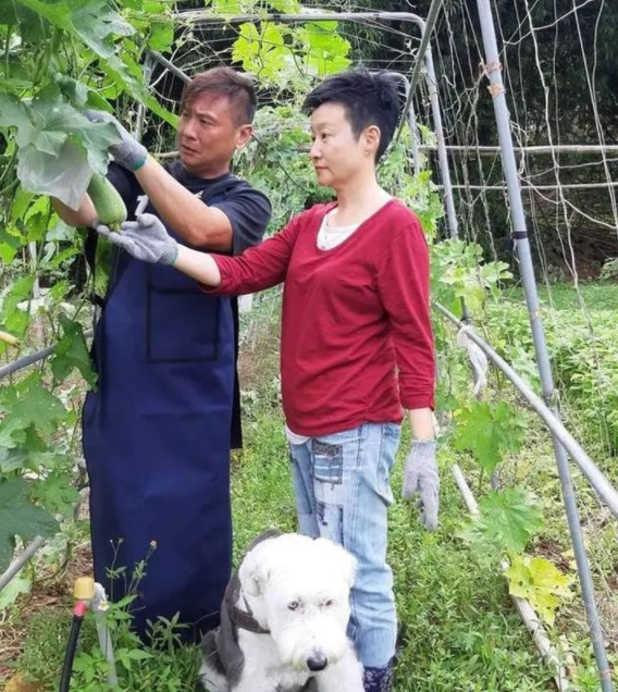 张世|被写进北电教材,远赴美国受尽欺负,张世活成了现实版的“赵高”