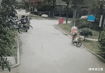 搞笑神回复|神回复：“论读书的重要性，你看懂了吗？”网友：还是多读书好！