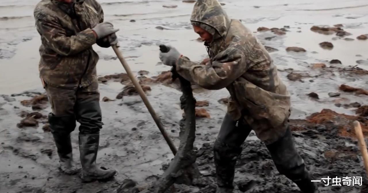 遗骸 潘多拉盒子？冻土融化，出现史前动物遗骸及病菌，或对人产生影响