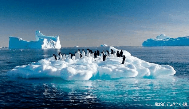 拐卖 假如南极冰川全部融化，中国哪个城市最先“失守”，没想到是这里