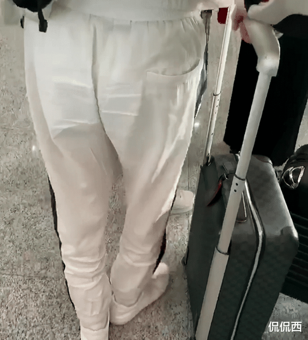 向太|向太和向华强低调坐地铁，一身行头超过50万，行李箱抵一辆汽车