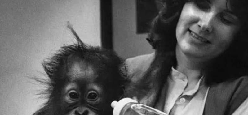 黑猩猩 1931年，这只黑猩猩与人类小孩一起养大，它会成为人类吗？